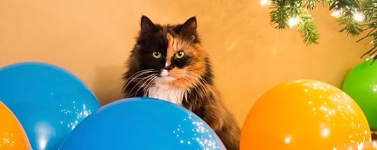 Image result for cat birthday