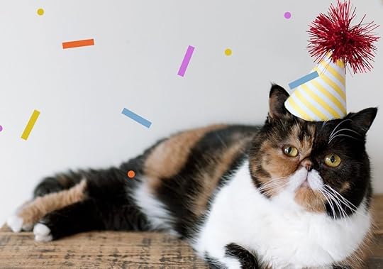 Image result for cat birthday