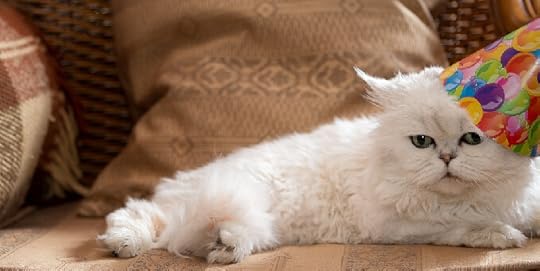 Image result for cat birthday