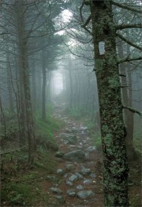 Bennington Triangle