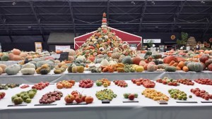 National Heirloom Festival tower of organic squash!