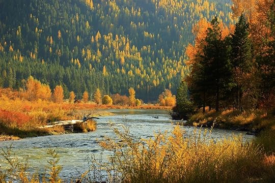 Clark Fork River, Montana