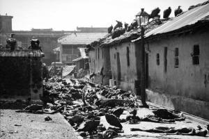 Independence Day, August 16, Direct Action Day, Suhrawardy, Jinnah, Muslim League, Mahatma Gandhi, Congress, Week of Long Knives, Time, Ramchandra Guha, Quint, Scroll, The Wire, Nathuram Godse, Kashmir, Noakhali, Star of India, Battle of Badr, Calcutta, West Bengal, Kashmir