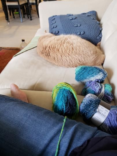 Sheldon, Knitting Tester