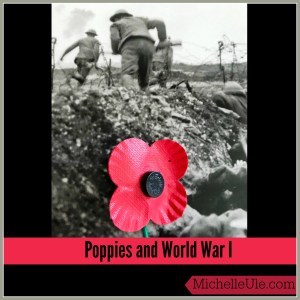 poppies, World War I, In Flanders Field, opium poppy, Demeter, Persephone, poppies in Greek mythology, A Poppy in Remembrance, John McCrae, Remembrance Day, Armistice day
