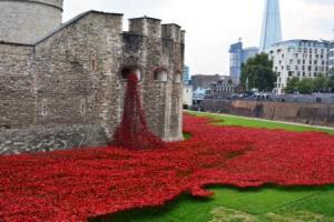 poppies, World War I, In Flanders Field, opium poppy, Demeter, Persephone, poppies in Greek mythology, A Poppy in Remembrance, John McCrae, Remembrance Day, Armistice day