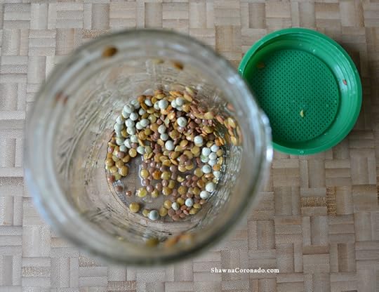 Garden Therapy Mason Jar Sprout Kit Seeds