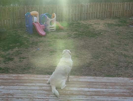 Clarence_RayofSun_cropped.jpg