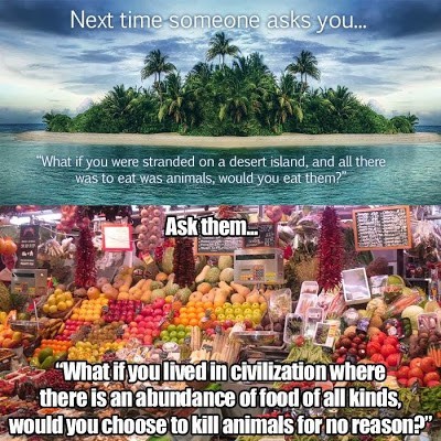 Top half of meme pictures an island in the ocean and reads, "Next time someone asks you...'What if you were stranded on a desert island, and all there was to eat was animals, would you eat them?"; Bottom half of meme pictures a bounty of fruits and vegetables in a market stall and reads, "Ask them...'What if you lived in civilization where there is an abundance of food of all kinds, would you choose to kill animals for no reason?'"
