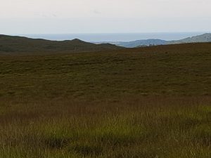 Looking toward the Irish Sea from Burnmoor