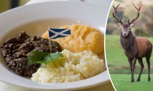 Haggis