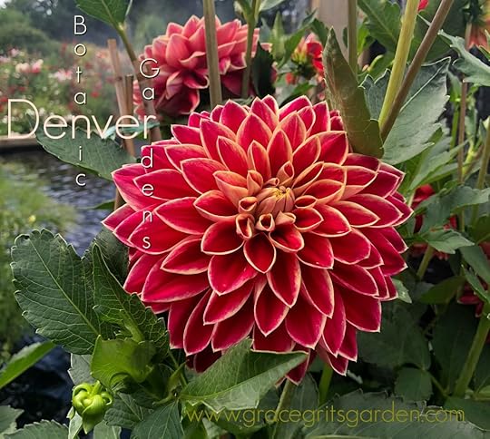 Denver Botanic Gardens