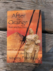 Cover of After the Orange taken on an old table