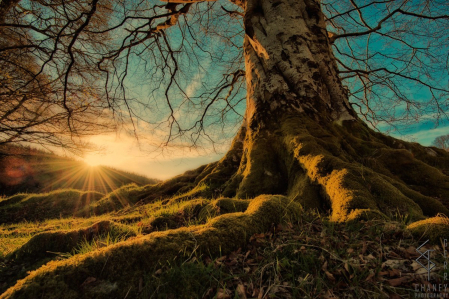 Image result for celtic mythology