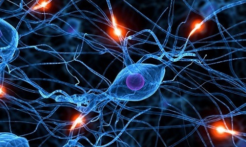 brain_synapse_hero