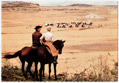 Elke Sommer and Götz George in Unter Geiern (1964)