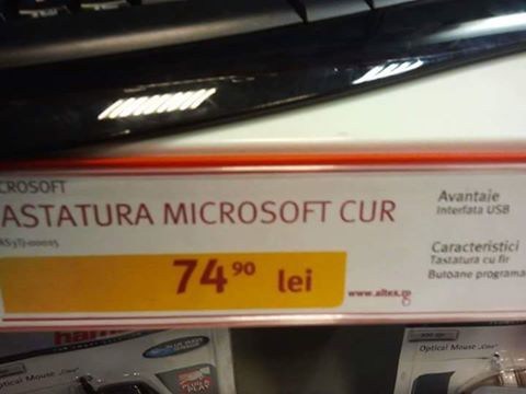 13935162_282772518749677_3814568374479172735_n