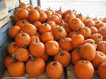 350px-FrenchMarketPumpkinsB
