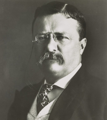 theodore-roosevelt-393205_960_720 (1)