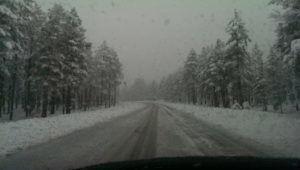 Arizona Snow