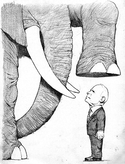 elephant_mccain