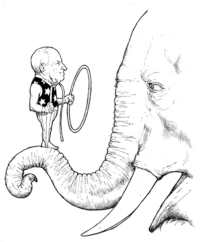 elephant_mccain2