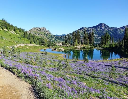 Wildflowers on the PCT