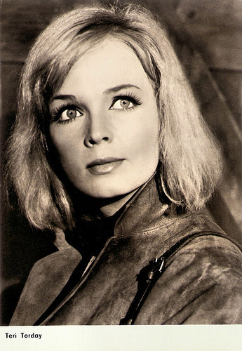 Teri Torday