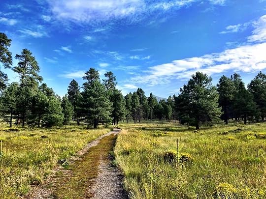 The Little America Hotel Flagstaff