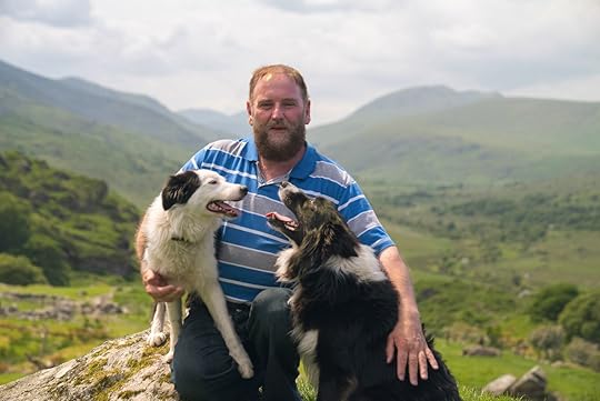 traditional sheep farm experience