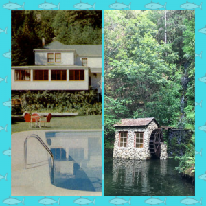 images of CazSonoma Inn