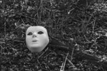 The mask
