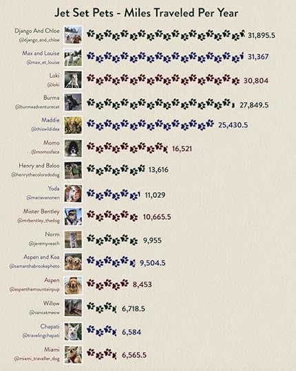 Jet set pets chart