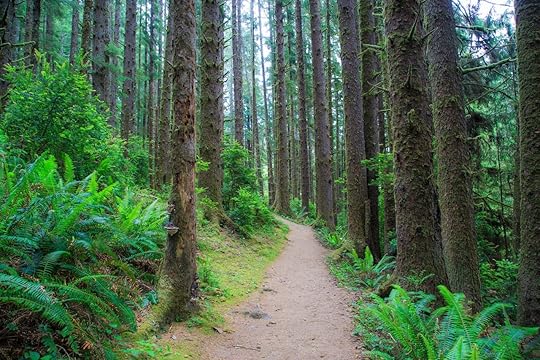 Fern Canyon Humboldt State Park