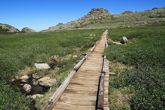 old wooden raised trail on the bears ears trail in the Wind River Range, Wyoming