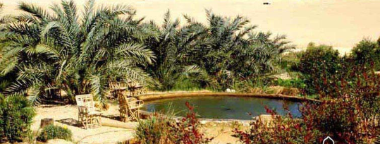 Screenshot_2018_09_03_12_01_03_1