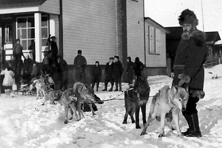 wolfsled