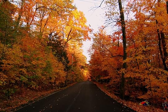 Fall foliage in Addison County, Vermont