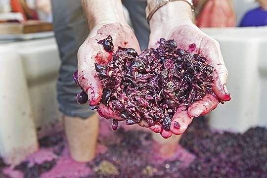 Santa Barbara Vintners