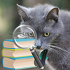 Jane Reads