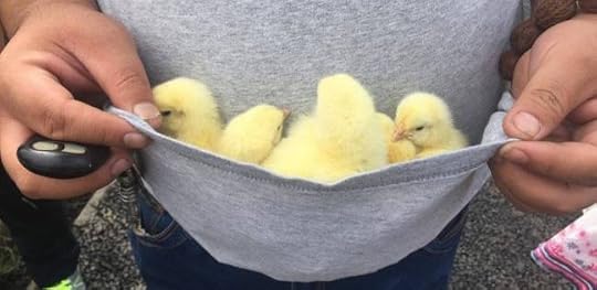 17308427621440583115