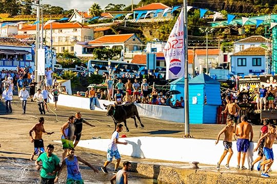 Men running with the bulls in Azores, Portugal
