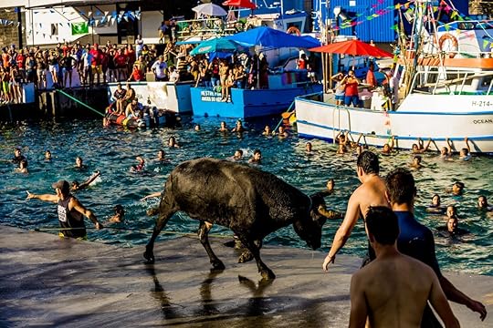 Bull charging by the water in Azores festival