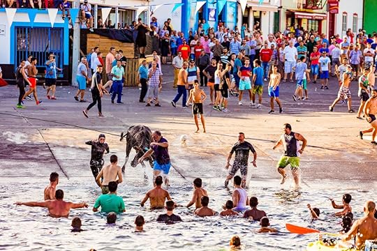 Charging bull in the Azores bull running festival