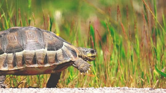 Slow That Decision Down