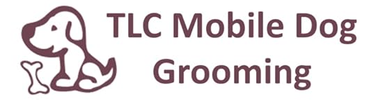 Financial Projections for TLC