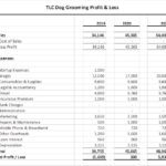 Example Profit and Loss (P&L)