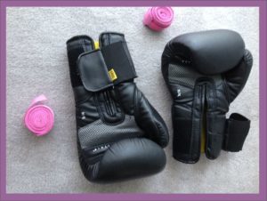 Stephen W. Hiemstra, Photograph of Boxing Gloves