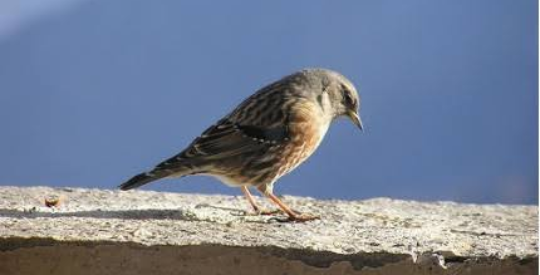 Screenshot_2018_09_12_15_04_28_1