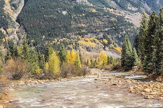White water Mineral Creek stream in Colorado